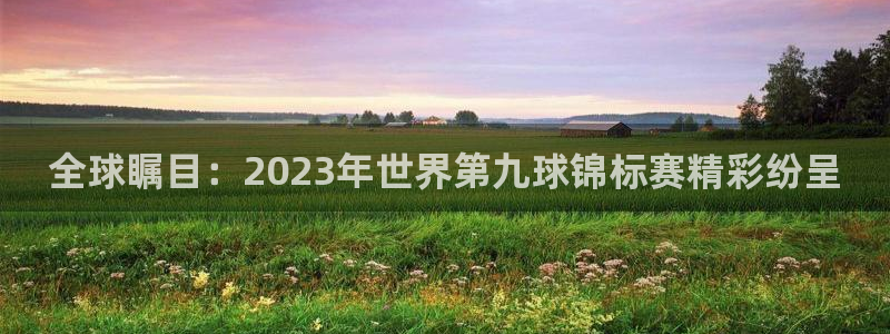 2026年世界杯赛程时间表格:全球瞩目:2023年世界第九球锦标赛精彩纷呈