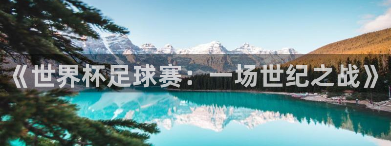 法国杯2026赛程表:《世界杯足球赛:一场世纪之战》