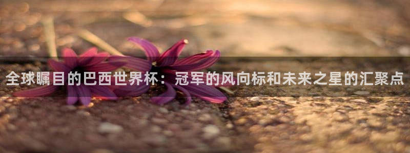 2026世预赛赛程:全球瞩目的巴西世界杯:冠军的风向标和未来之星的汇聚点