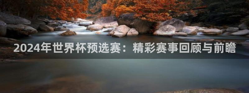 2026世界杯赛:2024年世界杯预选赛:精彩赛事回顾与前瞻