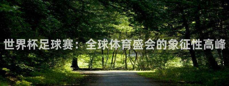 2026世界杯亚洲预选赛:世界杯足球赛:全球体育盛会的象征性高峰