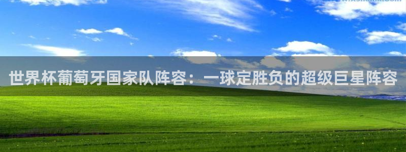 世界杯欧洲预选赛赛程:世界杯葡萄牙国家队阵容:一球定胜负的超级巨星阵容