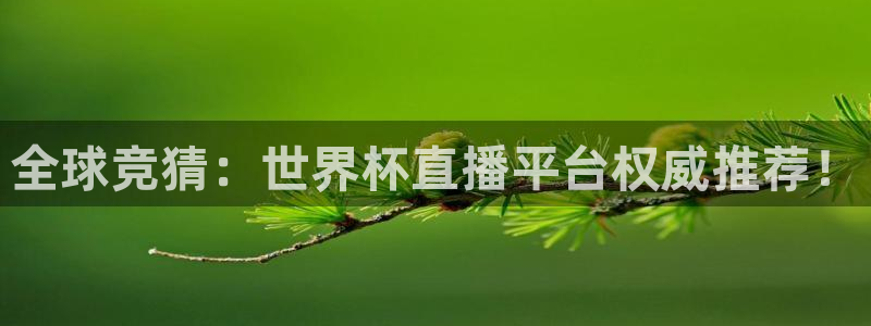 2026世界杯赛:全球竞猜:世界杯直播平台权威推荐!
