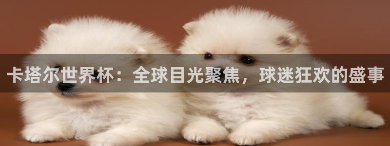 欧洲世界杯预选赛赛程:卡塔尔世界杯:全球目光聚焦,球迷狂欢的盛事